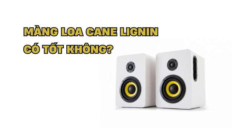 mang-loa-cane-lignin-co-tot-khong-bp