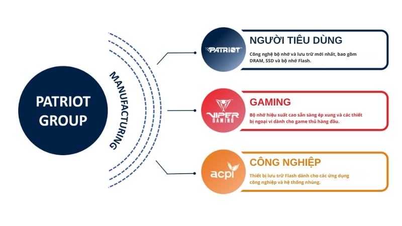 network-hub-nha-phan-phoi-patriot-tai-viet-nam-1