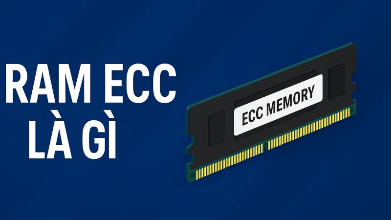 ram-ecc-la-gi-phan-biet-ram-ecc-thumb