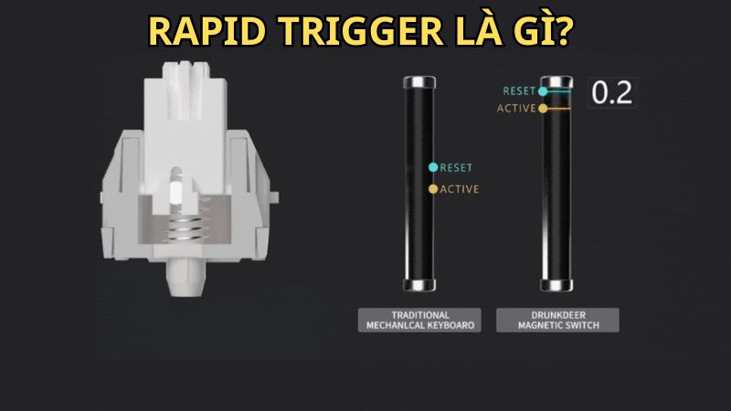 rapid-trigger-la-gi-thumb