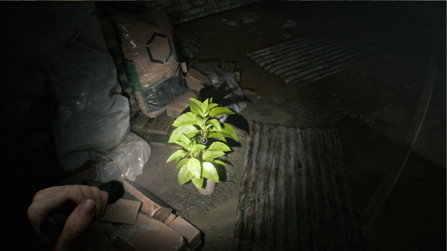 Thu thập và kết hợp thảo dược hồi máu